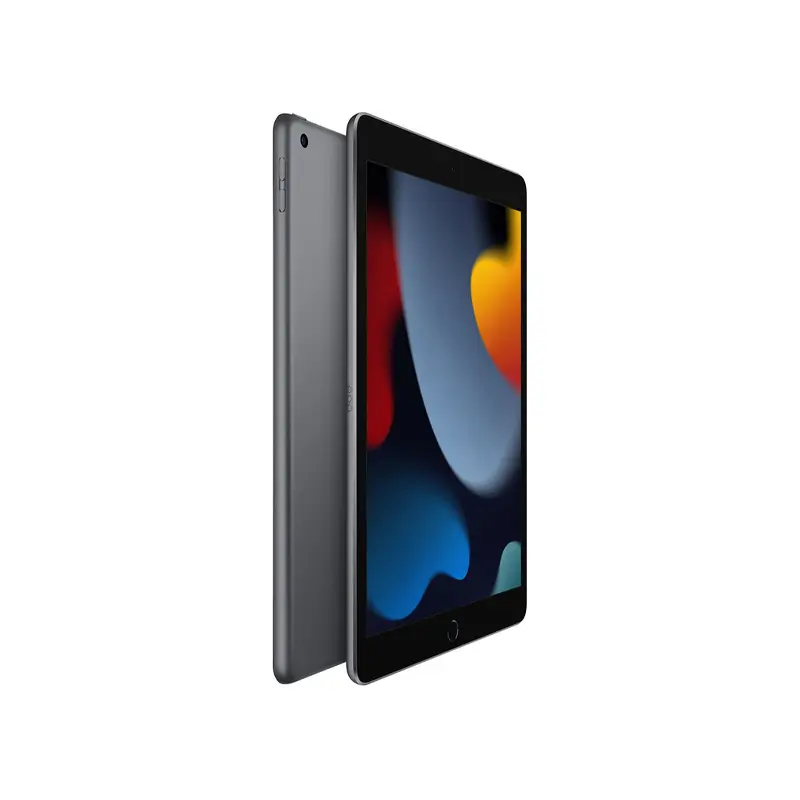 IPAD 9 (10.2) 2021 رنگ خاکستری